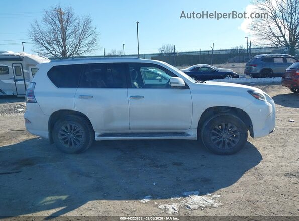 JTJAM7BX2M5296768 2021 LEXUS GX 460 Белый Вид задней части салона