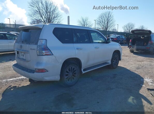JTJAM7BX2M5296768 2021 LEXUS GX 460 Белый Задняя правая четверть
