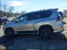 2023 Lexus Gx 460 Premium Серый vin: JTJAM7BX3P5379095