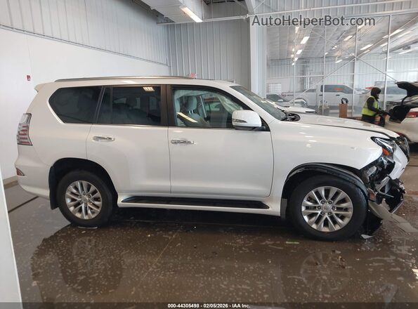 JTJAM7BX4N5314012 2022 LEXUS GX 460 White Widok wnętrza z tyłu