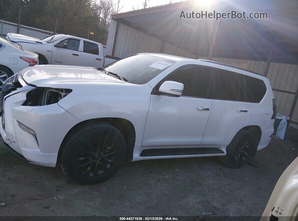 JTJAM7BX8L5248982 2020 LEXUS GX 460 White 