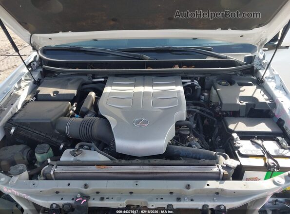 JTJAM7BX8N5307788 2022 LEXUS GX 460 Белый Вид сзади