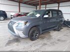 2023 Lexus Gx 460 Premium Gray vin: JTJAM7BX8P5356265