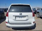2020 Lexus Gx 460 Premium Белый vin: JTJAM7BXXL5265914