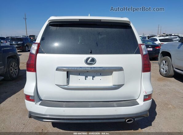 JTJAM7BXXL5265914 2020 LEXUS GX 460 Белый 
