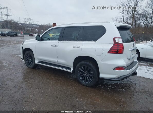 JTJAM7BXXM5283668 2021 LEXUS GX 460 Белый Задняя левая четверть