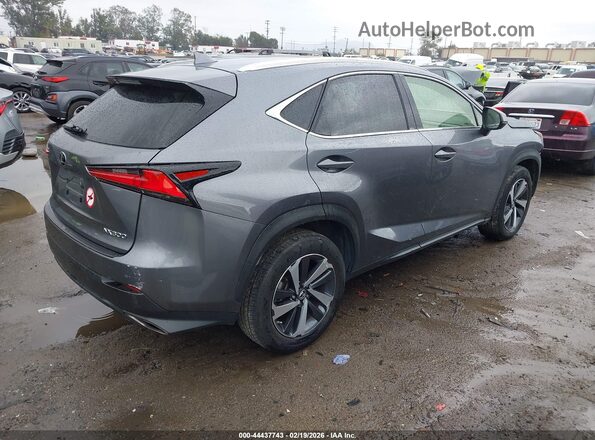 JTJBARBZ0K2187265 2019 LEXUS NX 300 Серый Задняя правая четверть