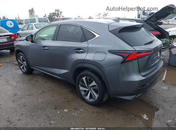 JTJBARBZ0K2187265 2019 LEXUS NX 300 Серый Задняя левая четверть