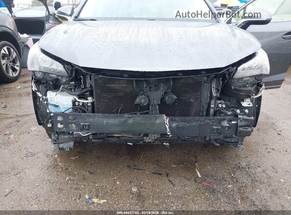 JTJBARBZ0K2187265 2019 LEXUS NX 300 Серый Вид спереди