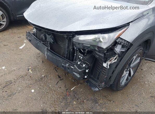 JTJBARBZ0K2187265 2019 LEXUS NX 300 Серый 