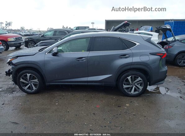 JTJBARBZ0K2187265 2019 LEXUS NX 300 Серый Панорамный вид салона 360°