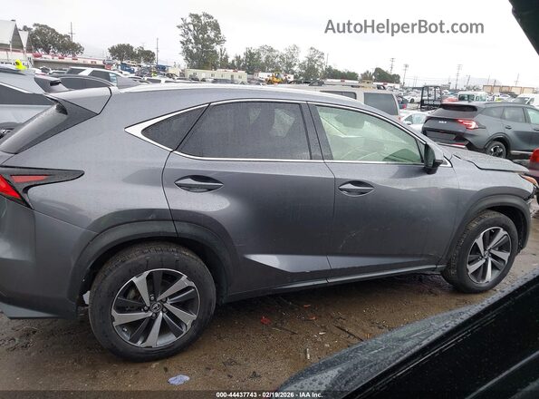 JTJBARBZ0K2187265 2019 LEXUS NX 300 Серый Вид задней части салона