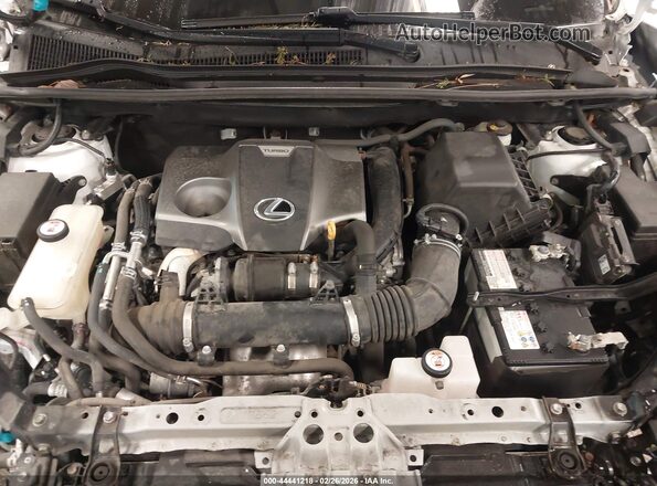 JTJBARBZ1H2113975 2017 LEXUS NX 200T Белый Вид сзади