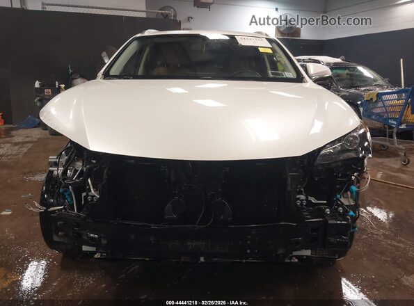 JTJBARBZ1H2113975 2017 LEXUS NX 200T Белый Вид задней части салона