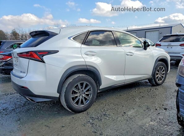 JTJBARBZ1J2164933 2018 LEXUS NX Белый Задняя правая четверть