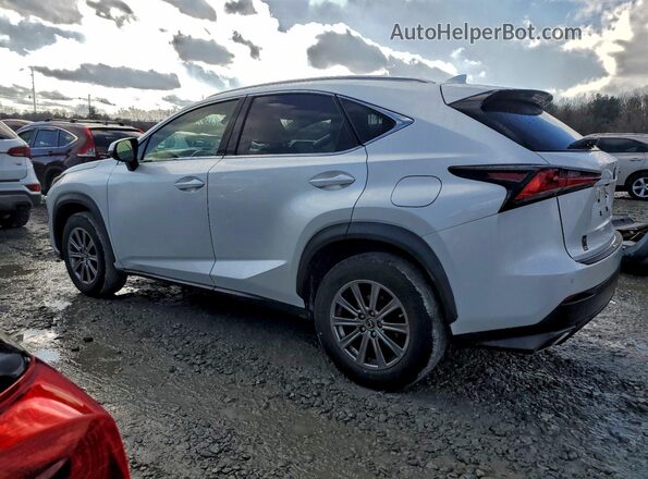 JTJBARBZ1J2164933 2018 LEXUS NX Белый Задняя левая четверть