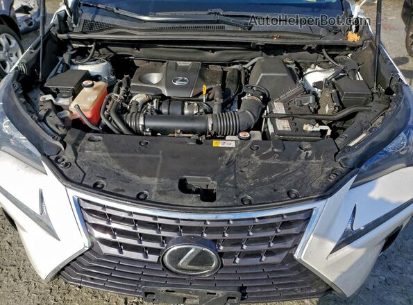JTJBARBZ1J2164933 2018 LEXUS NX Белый Вид подкапотного пространства