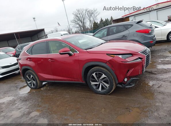 JTJBARBZ1J2173938 2018 LEXUS NX 300 Темно-бордовый Вид задней части салона