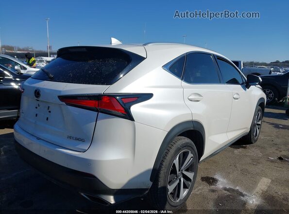 JTJBARBZ2J2162883 2018 LEXUS NX 300 Белый Задняя правая четверть
