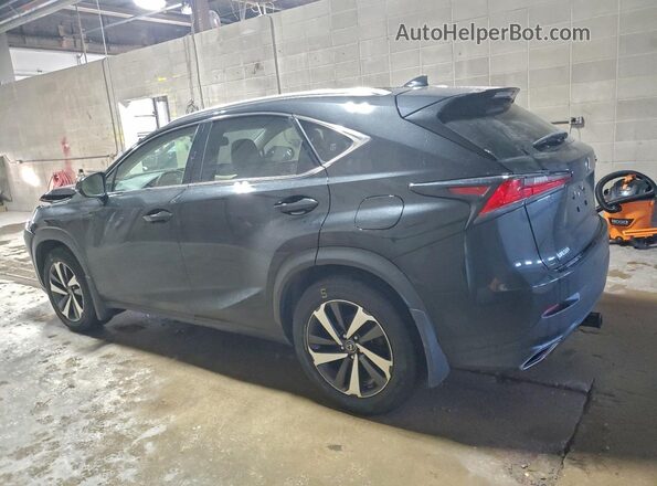 JTJBARBZ3K2185493 2019 LEXUS NX Угольный Задняя левая четверть