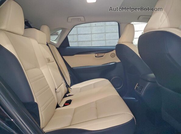 JTJBARBZ3K2185493 2019 LEXUS NX Угольный Вид задней части салона
