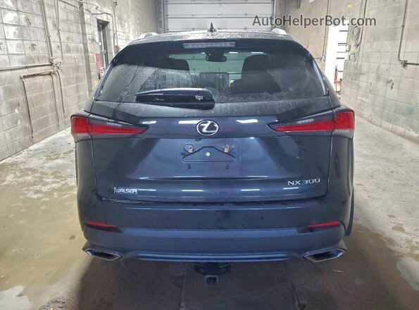 JTJBARBZ3K2185493 2019 LEXUS NX Угольный Вид сзади
