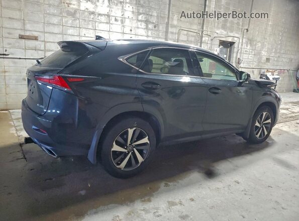 JTJBARBZ3K2185493 2019 LEXUS NX Угольный Задняя правая четверть