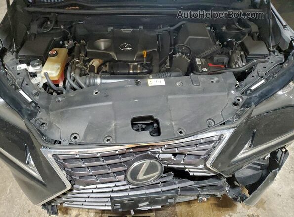 JTJBARBZ3K2185493 2019 LEXUS NX Угольный Вид подкапотного пространства