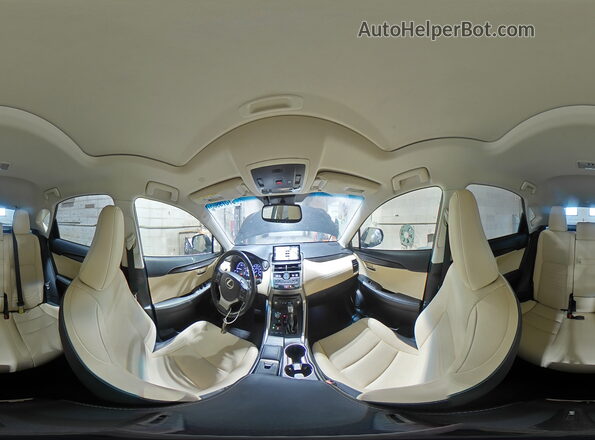 JTJBARBZ3K2185493 2019 LEXUS NX Угольный Панорамный вид салона 360°