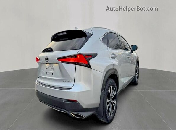 JTJBARBZ3K2189513 2019 LEXUS NX Серый Передняя правая четверть