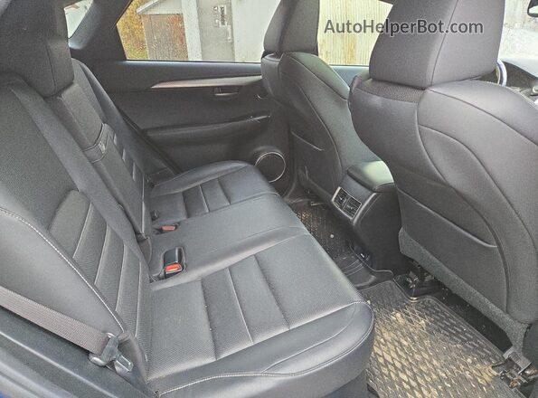 JTJBARBZ4K2181825 2019 LEXUS NX Blue Widok wnętrza z tyłu
