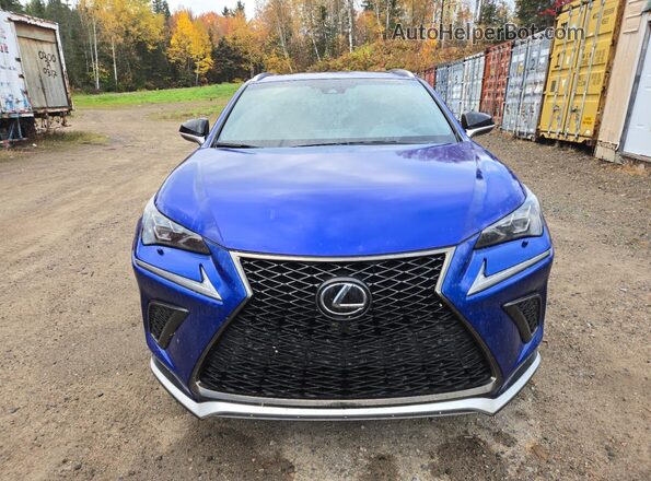JTJBARBZ4K2181825 2019 LEXUS NX Blue Widok z przodu