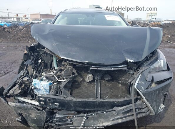 JTJBARBZ5K2217134 2019 LEXUS NX 300 Черный Вид спереди