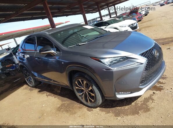 JTJBARBZ6G2074850 2016 LEXUS NX 200T Серый Вид задней части салона