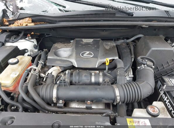 JTJBARBZ6J2161641 2018 LEXUS NX 300 Белый Вид сзади
