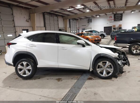 JTJBARBZ8H2104075 2017 LEXUS NX 200T Белый Вид задней части салона