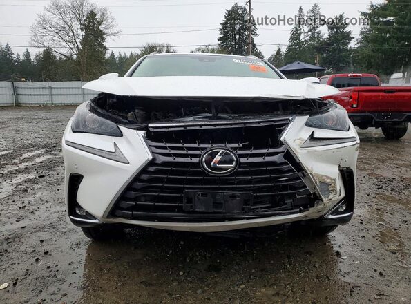 JTJBARBZ8J2158093 2018 LEXUS NX Белый Вид спереди