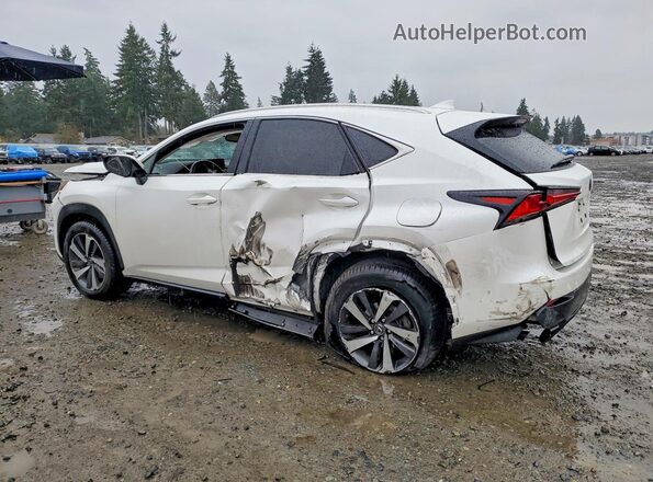 JTJBARBZ8J2158093 2018 LEXUS NX Белый Задняя левая четверть