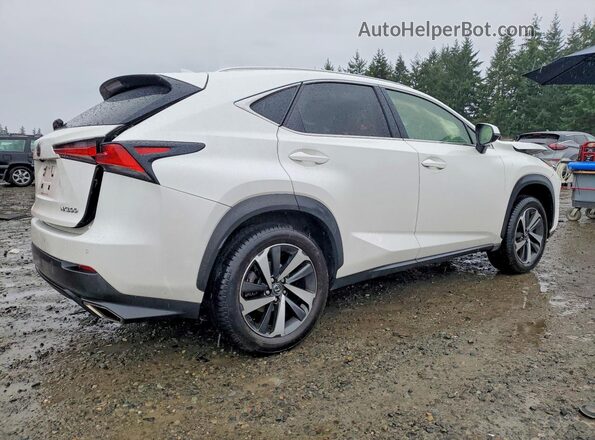 JTJBARBZ8J2158093 2018 LEXUS NX Белый Задняя правая четверть