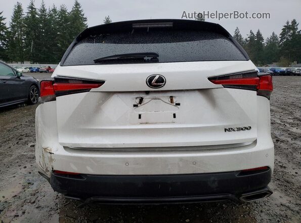 JTJBARBZ8J2158093 2018 LEXUS NX Белый Вид сзади