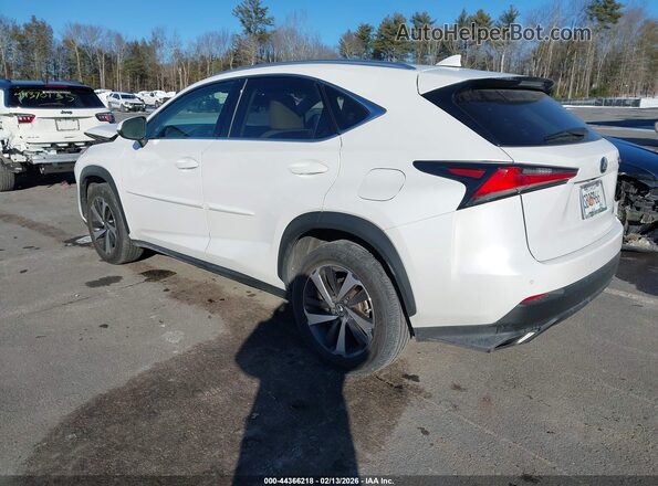 JTJBARBZ9K2205990 2019 LEXUS NX 300 White Tył lewy
