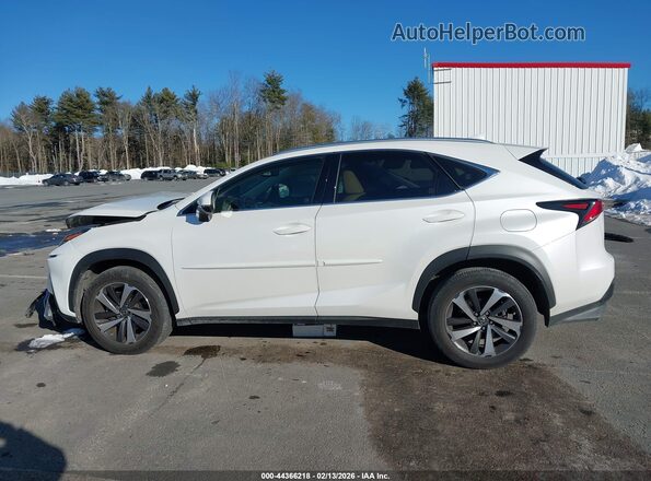 JTJBARBZ9K2205990 2019 LEXUS NX 300 White Widok wnętrza 360 stopni