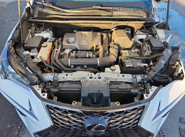 JTJBARBZXK2187998 2019 LEXUS NX Белый Вид подкапотного пространства