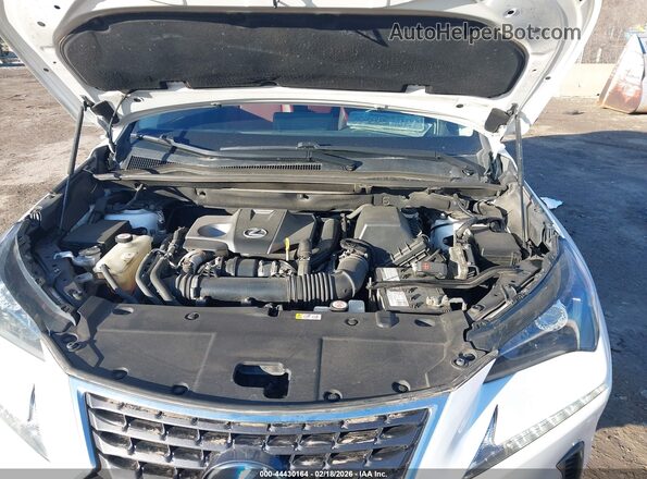 JTJBARBZXK2208994 2019 LEXUS NX 300 Белый Вид сзади