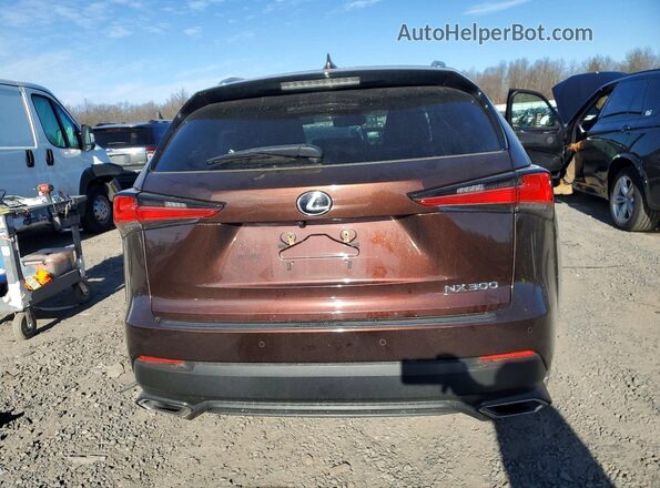 JTJBARBZXK2211717 2019 LEXUS NX Темно-бордовый Вид сзади