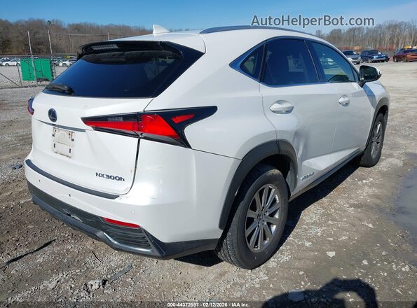JTJBJRBZ3J2094500 2018 LEXUS NX 300H Белый Задняя правая четверть
