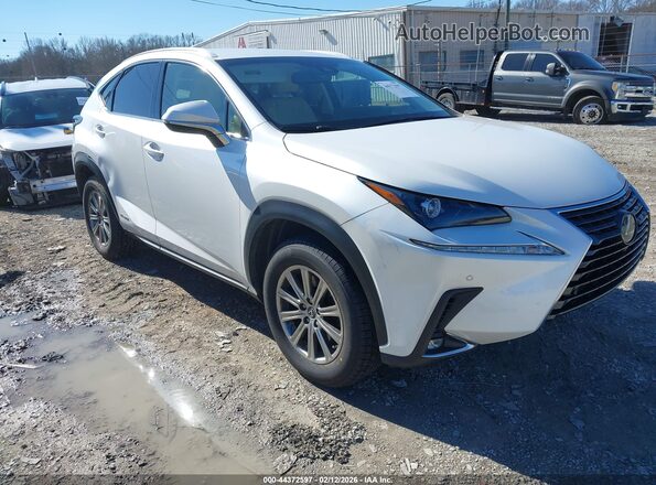 JTJBJRBZ3J2094500 2018 LEXUS NX 300H Белый Передняя правая четверть