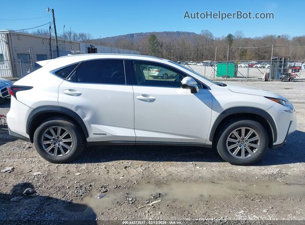 JTJBJRBZ3J2094500 2018 LEXUS NX 300H Белый Вид задней части салона