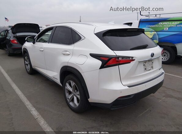 JTJBJRBZXH2072441 2017 LEXUS NX 300H Белый Задняя левая четверть