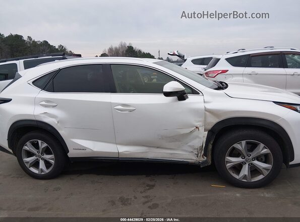 JTJBJRBZXH2072441 2017 LEXUS NX 300H Белый Вид задней части салона
